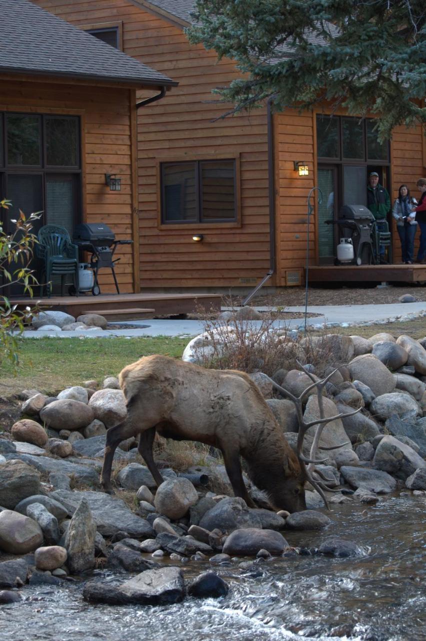 River Stone Resorts Естес Парк Екстериор снимка